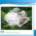 Extracto de raíz de Peony blanco de Medicina China, Extracto de raíz de Peony blanco natural, Extracto de raíz de Peony blanco